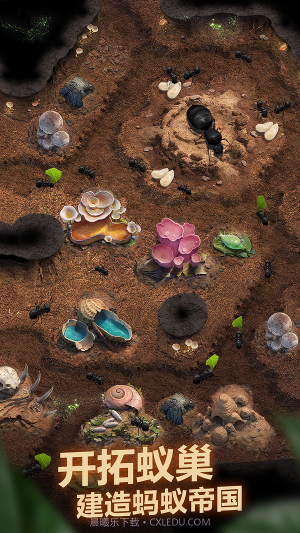小小蚁国截图2 小小蚁国截图2