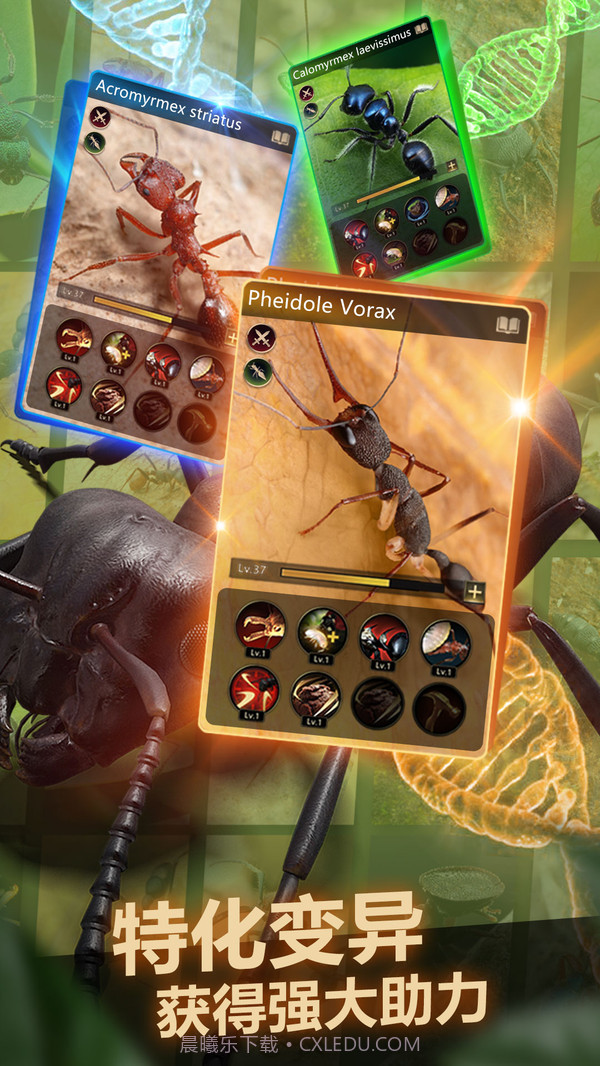 小小蚁国截图4 小小蚁国截图4