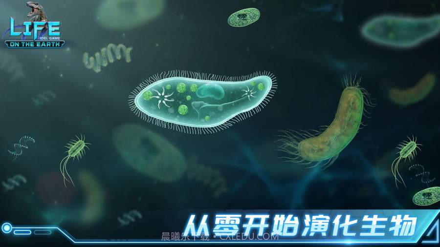 生命简史国际版截图2