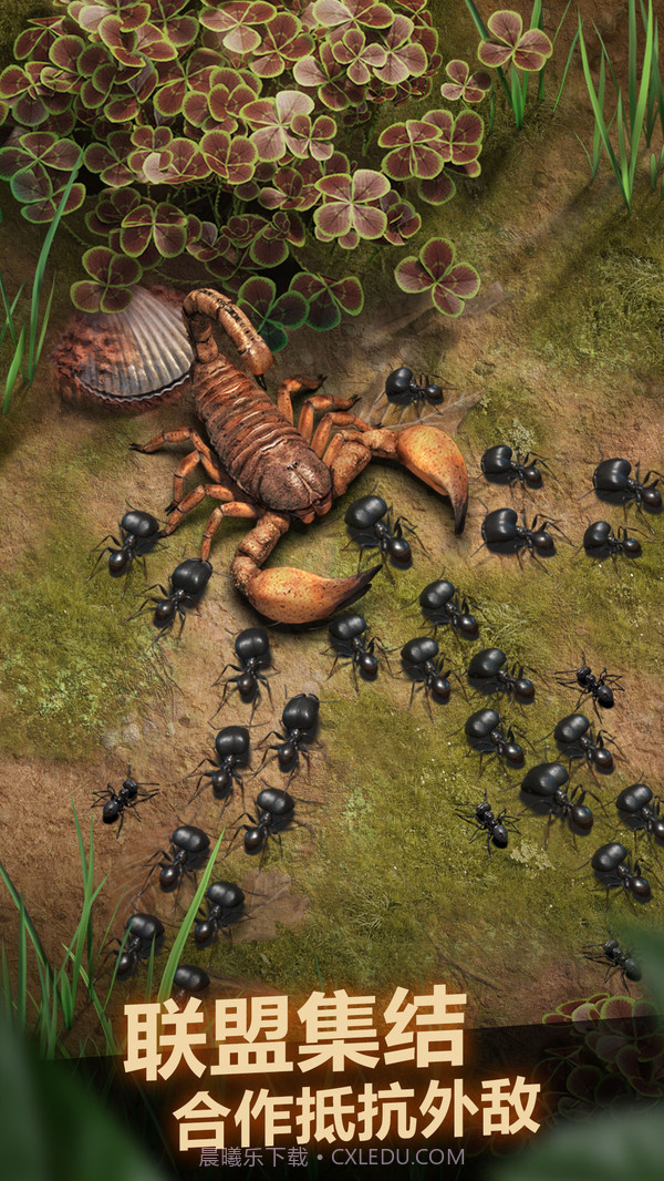 小小蚁国截图5 小小蚁国截图5