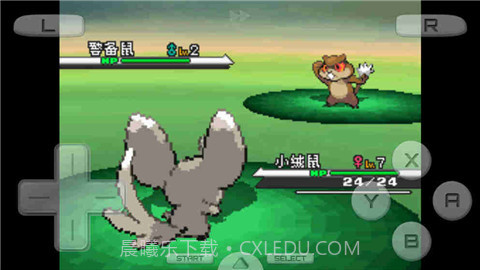 口袋妖怪白截图1 口袋妖怪白截图1