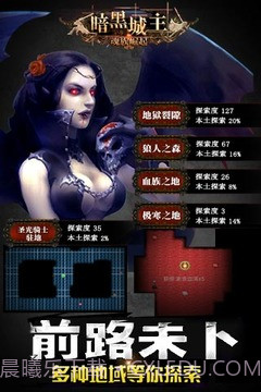 暗黑城主单机版截图1