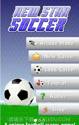 New Star Soccer截图1