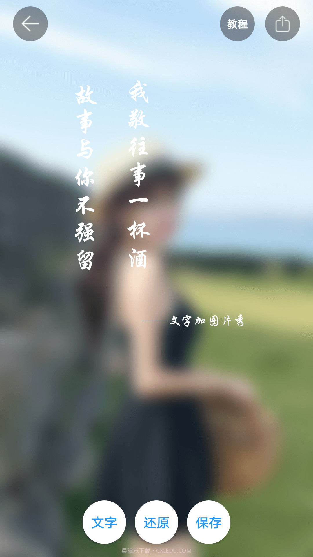 图片加文字秀截图3