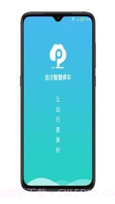 合川智慧停车截图2