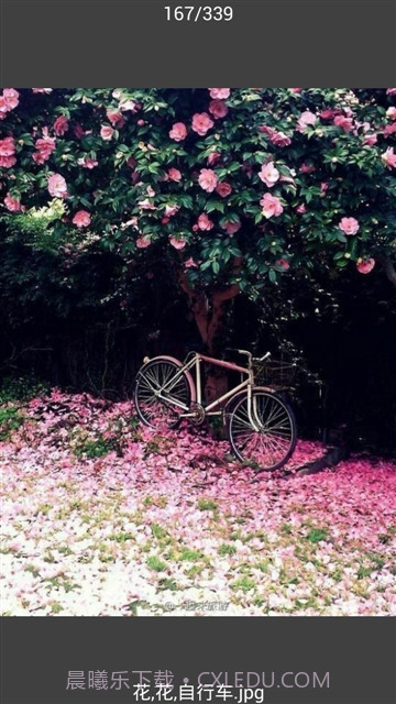 All图片批量下载截图3