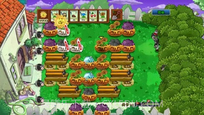 植物大战僵尸坤坤版截图3