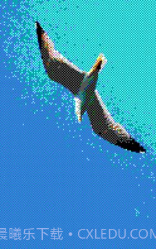 8位风格照片工坊8Bit Photo截图4 8位风格照片工坊8Bit Photo截图4