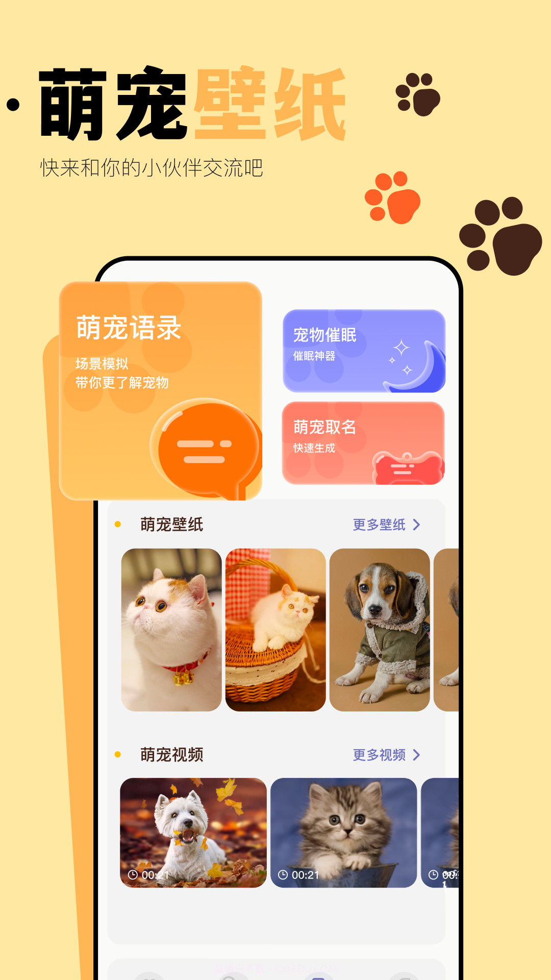 猫咪聊天翻译器截图3 猫咪聊天翻译器截图3
