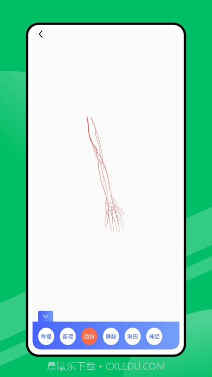 人体工厂截图4 人体工厂截图4