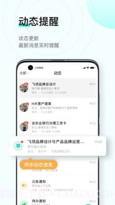 飞项截图4