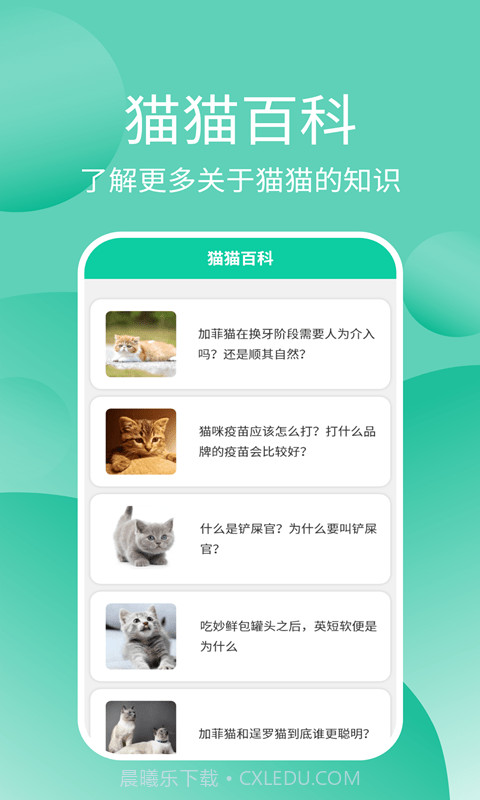 猫猫交流器截图4 猫猫交流器截图4