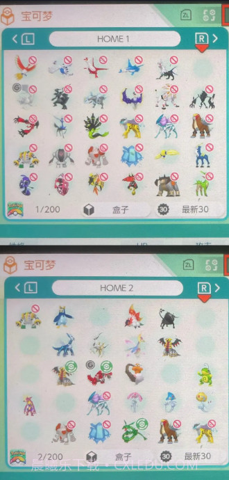 宝可梦Home国际服截图4