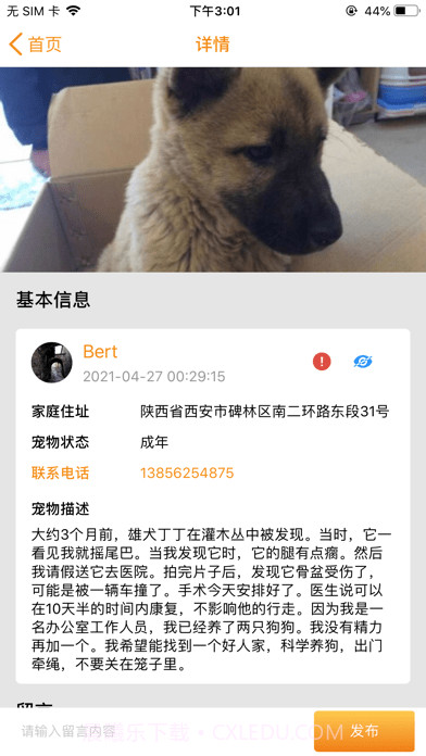 宠爱社安卓截图2