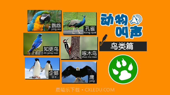 动物叫声最新版截图3