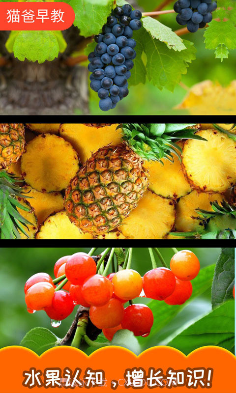 宝宝切水果截图4 宝宝切水果截图4