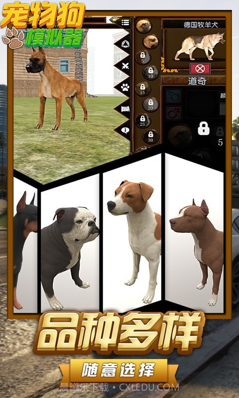 宠物狗模拟器截图3 宠物狗模拟器截图3