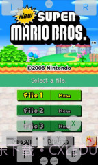 NDS模拟器:Dsoid截图1 NDS模拟器:Dsoid截图1