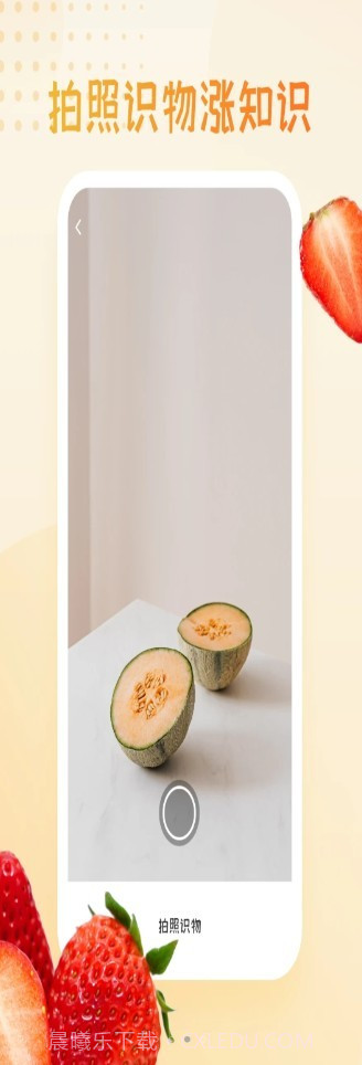 水果图片大全截图3