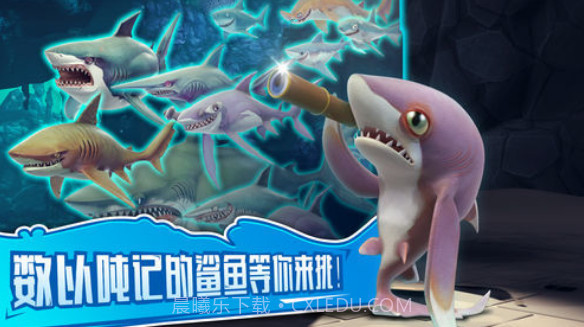 小金鱼吃地球截图1 小金鱼吃地球截图1