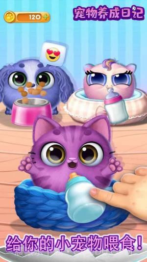 宠物养成日记单机截图1