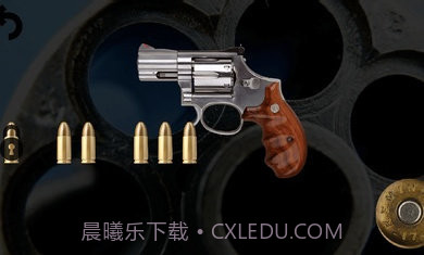 只有一颗子弹的轮盘截图1