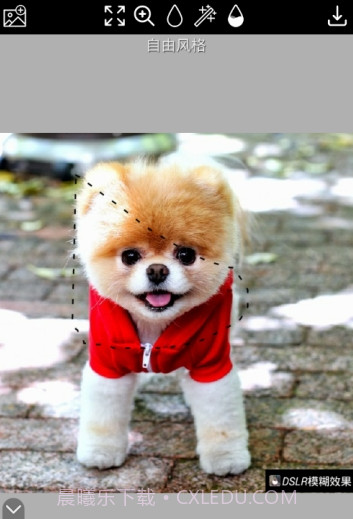 DSLR模糊效果截图2 DSLR模糊效果截图2