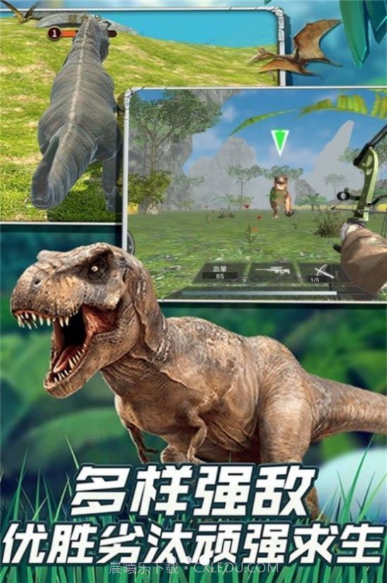 恐龙大陆深入探秘截图2 恐龙大陆深入探秘截图2