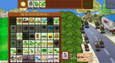 PvZ乐pad写实版截图1