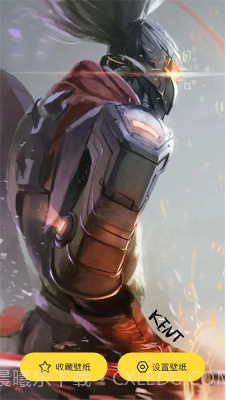 小熊视界壁纸截图3 小熊视界壁纸截图3