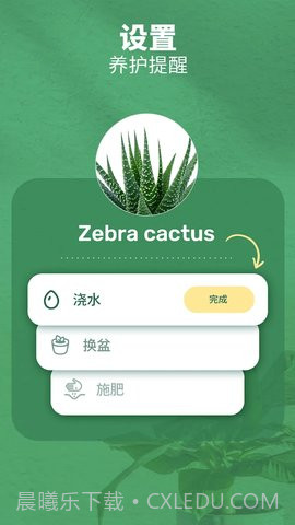 繁花盛开截图3 繁花盛开截图3