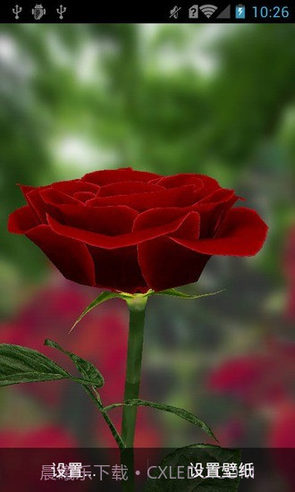 3D玫瑰动态壁纸截图3 3D玫瑰动态壁纸截图3