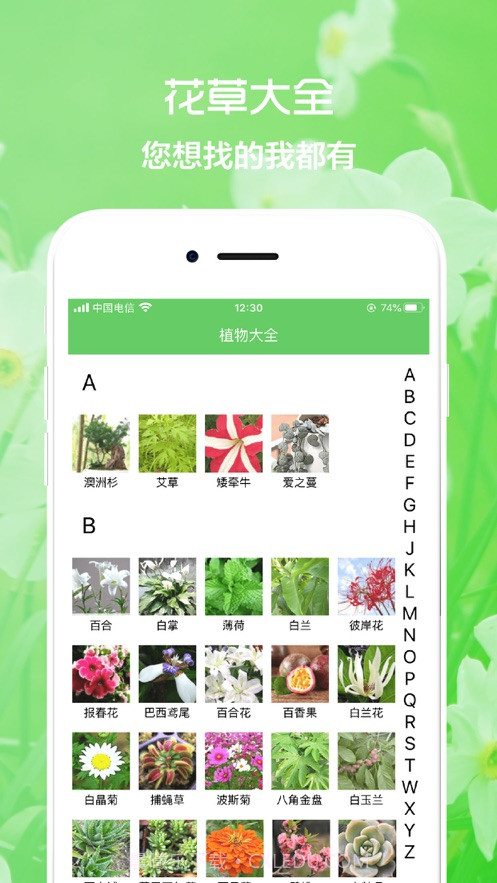 花草植物助手截图1 花草植物助手截图1