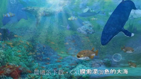 全民养鲸鱼最新版截图1 全民养鲸鱼最新版截图1