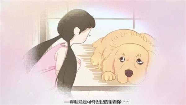 阿今宠物屋截图2