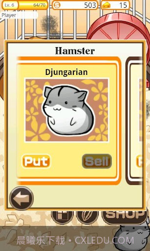 可爱的小仓鼠 Hamster Life截图7 可爱的小仓鼠 Hamster Life截图7