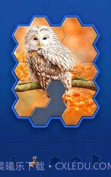 六方挑战截图2 六方挑战截图2