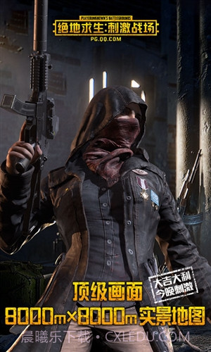 绝地求生刺激战场国际版截图2