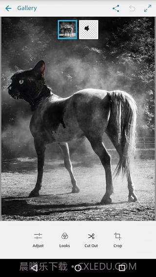 Adobe Photoshop Mix截图4 Adobe Photoshop Mix截图4