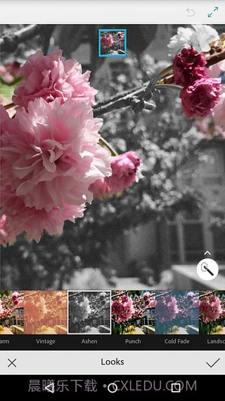 Adobe Photoshop Mix截图1 Adobe Photoshop Mix截图1