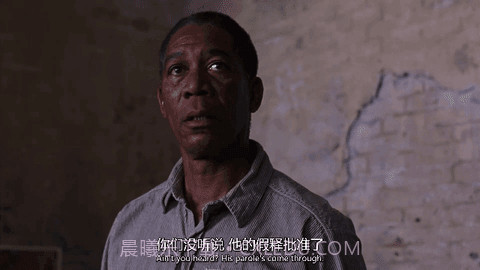 小枫影视TV截图2