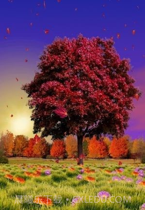 秋天动态壁纸截图3