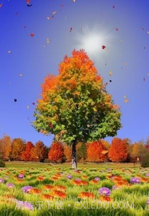 秋天动态壁纸截图1