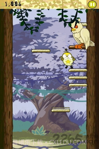 小鸟跳跳官网版截图3