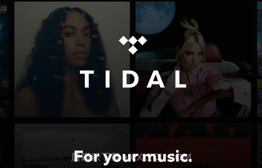TIDAL音乐正版截图2 TIDAL音乐正版截图2