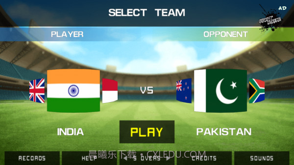 街头板球锦标赛截图1