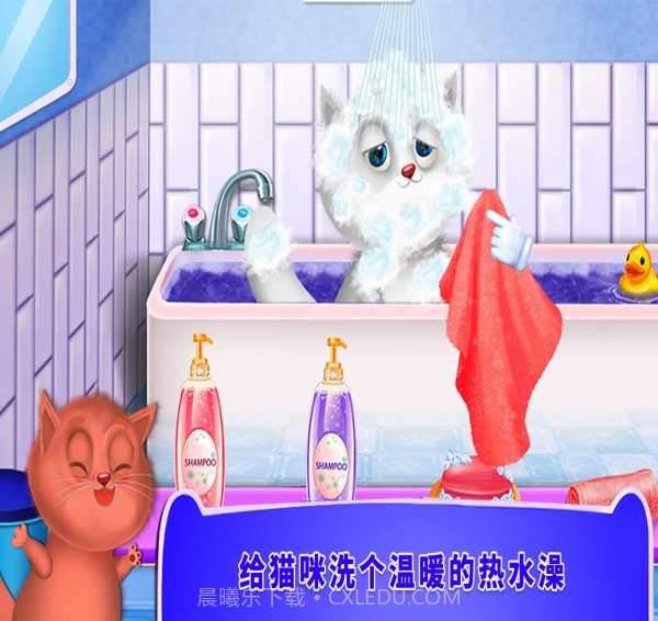 照顾小猫咪截图2 照顾小猫咪截图2