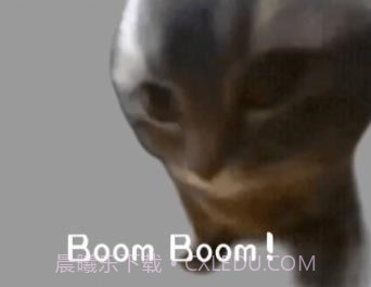 嚼嚼嚼表情包小猫截图2