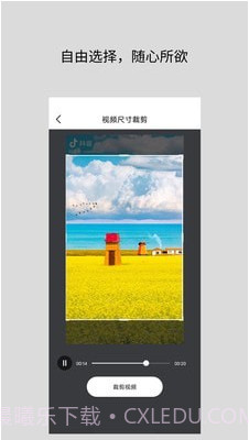 道简视频组件工具截图2