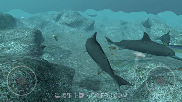 真正的鲨鱼模拟器截图5 真正的鲨鱼模拟器截图5